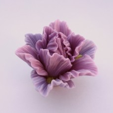 silikonovaya-forma-iris