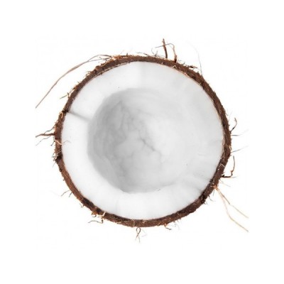 otdushka-kokos